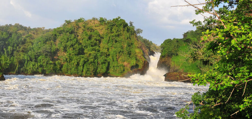 2 Days Murchison Falls National Park Safari