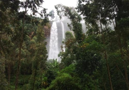 Saanane Island Saanane Island