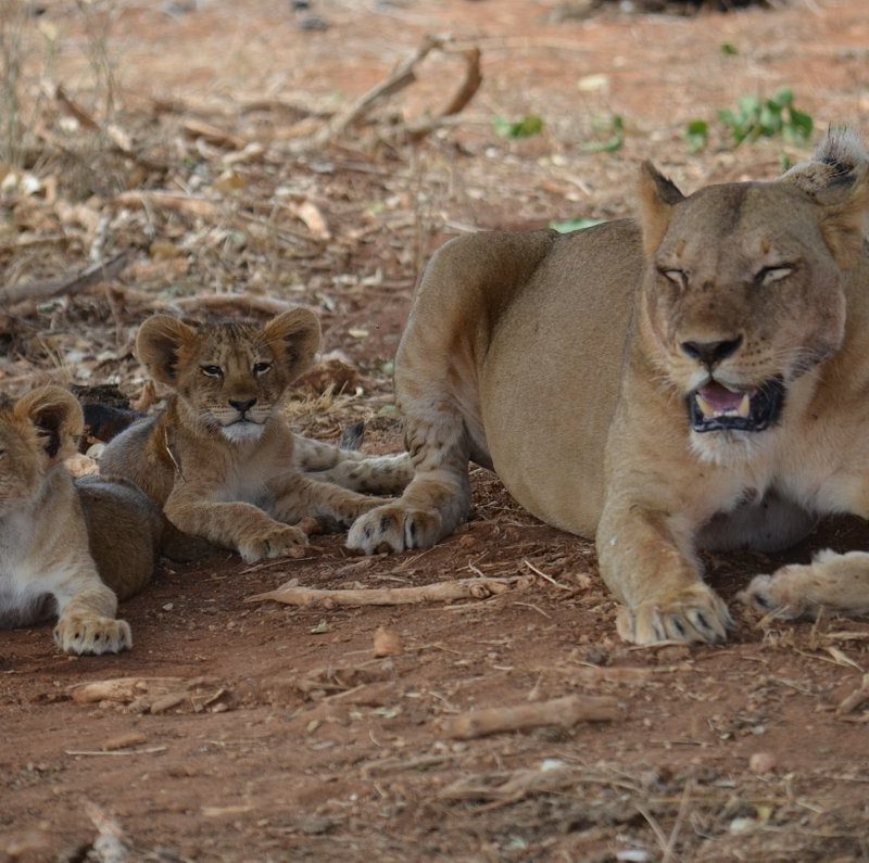 Serengeti National Park