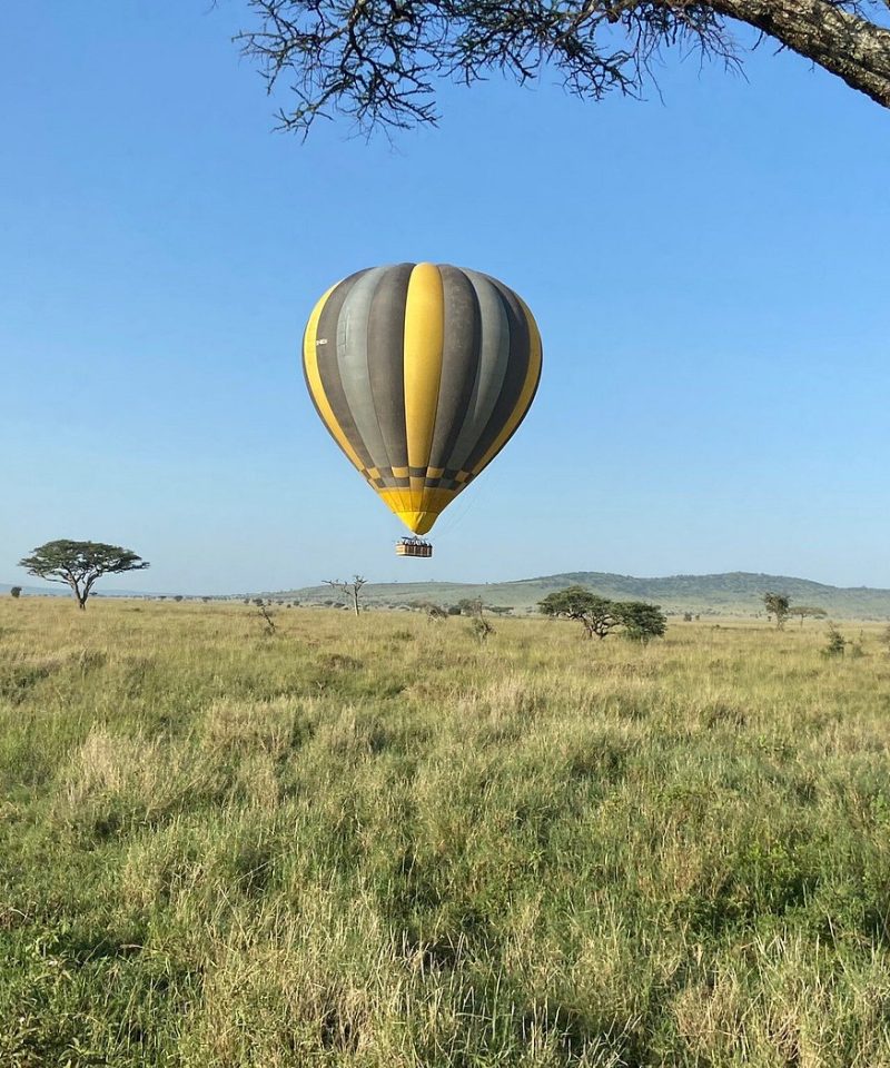 Masai Mara and Lake Nakuru