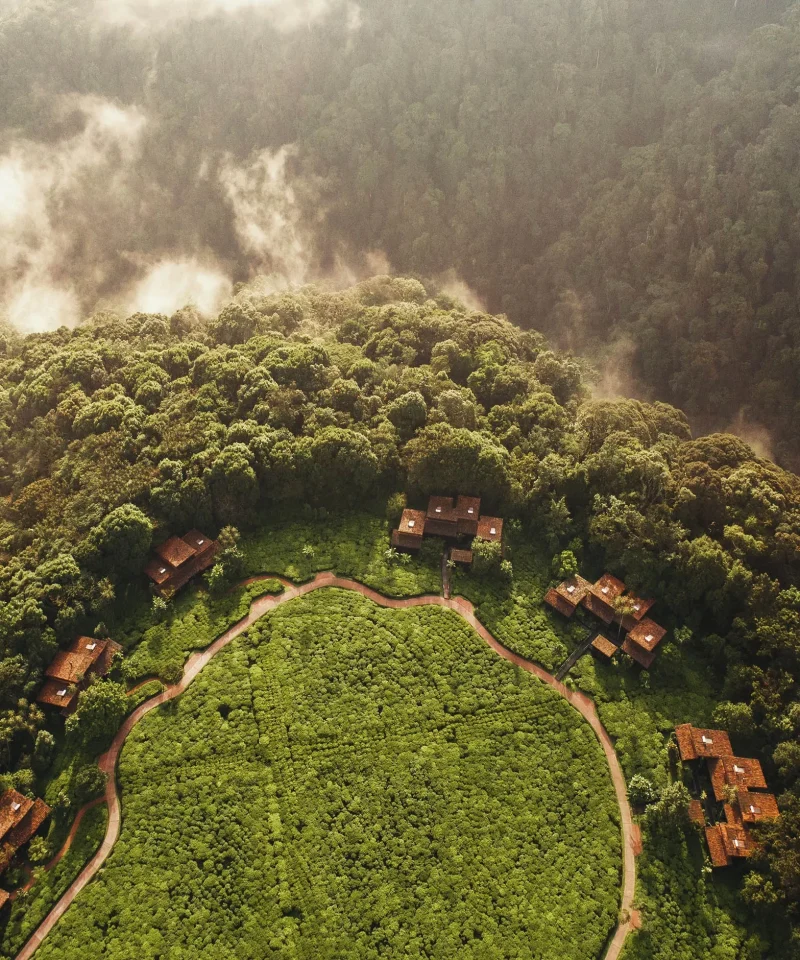 Ngorongoro Crater is one of the most iconic and unique wildlife destinations in Tanzania, and it holds the distinction of being the largest inactive volcanic caldera