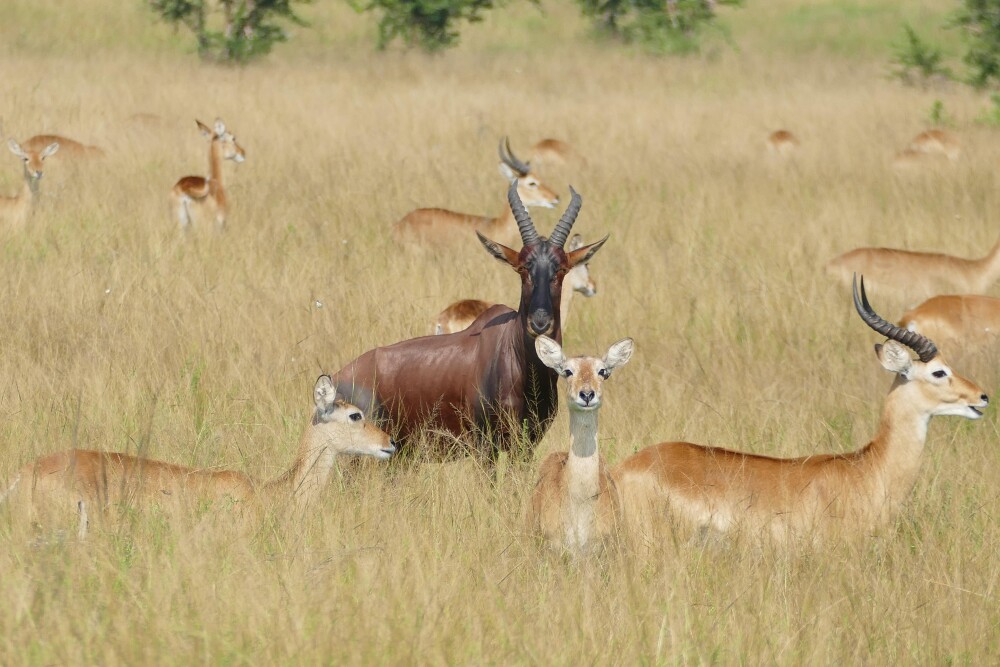 Tarangire National Park